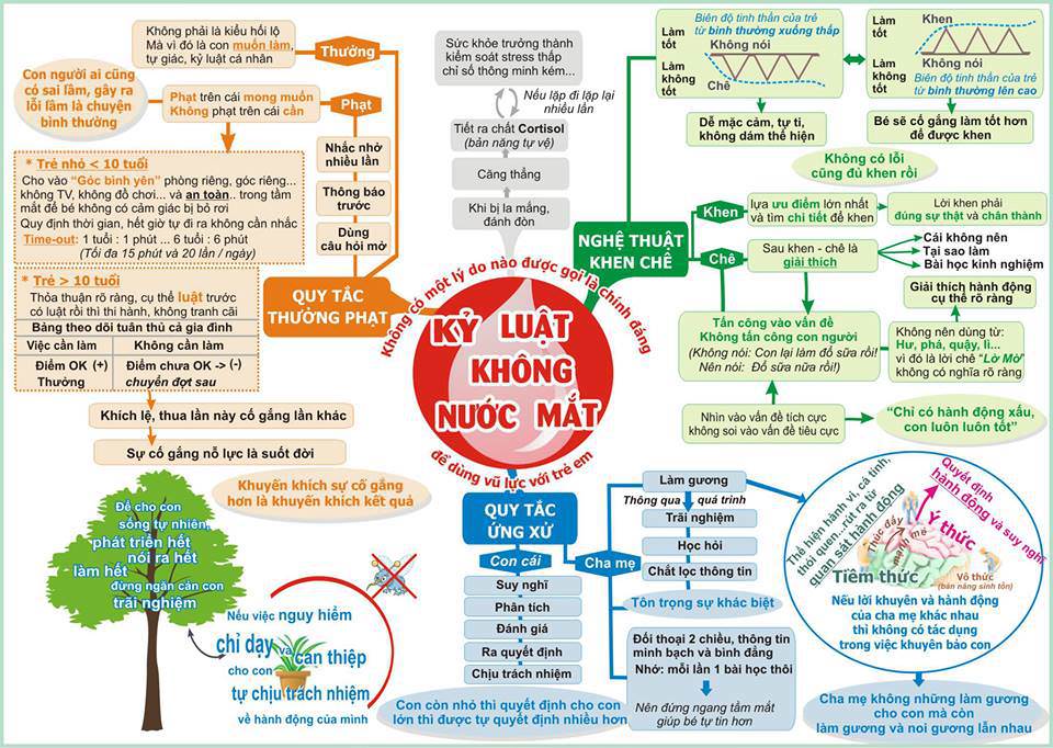 Sơ đồ Kỷ luật không nước mắt của thạc sĩ Trần Thị Ái Liên