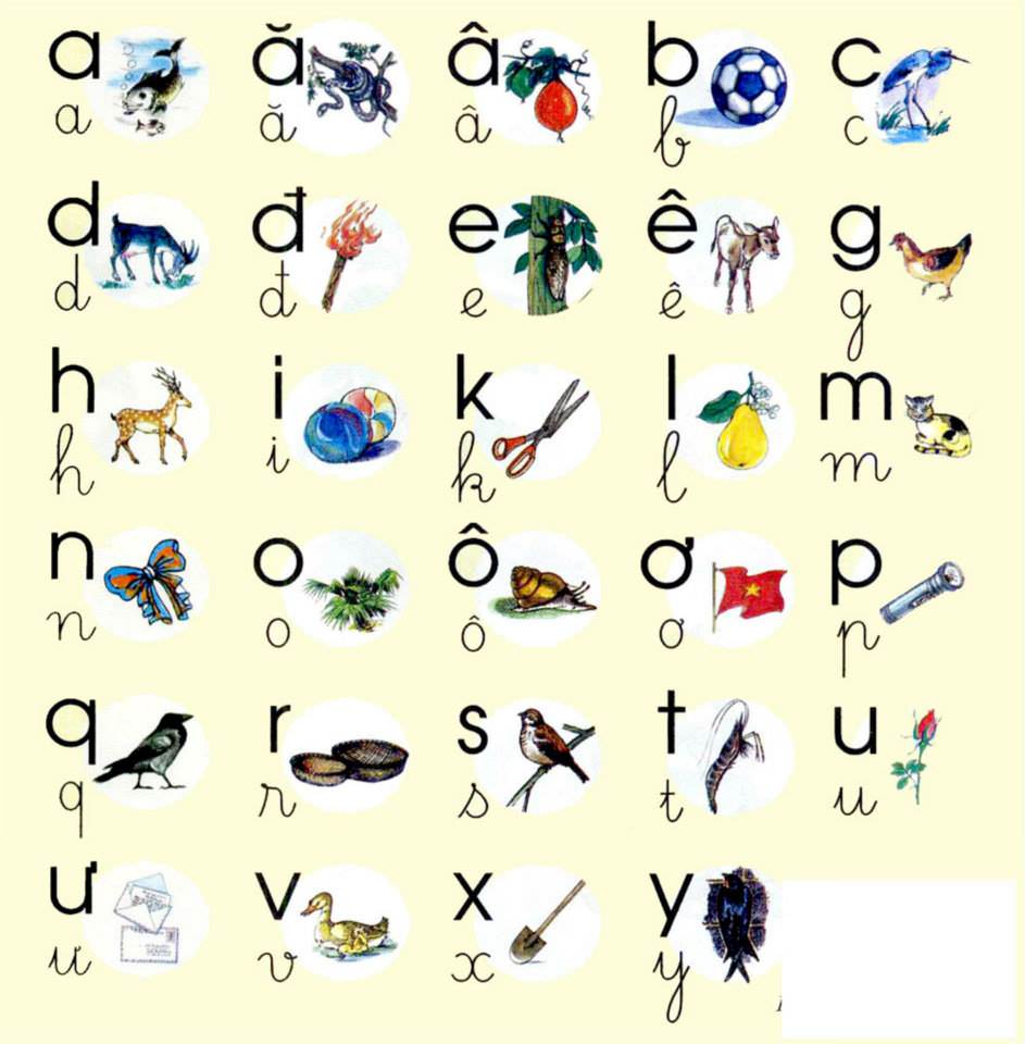 Bảng chữ cái tiếng việt