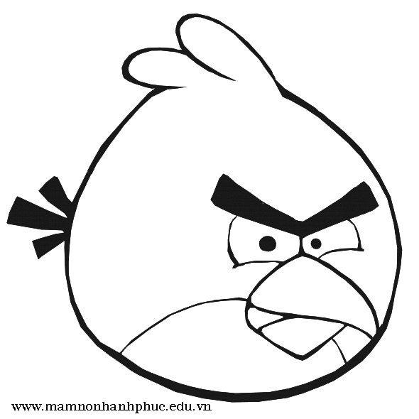 Tô Màu Chim Angry Birds | Trường Mầm Non Hạnh Phúc